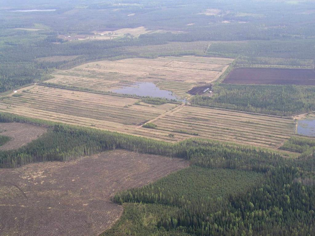 Pintamaan kuoriminen altistaa eroosiovoimille ja kuormittavalle valunnalle