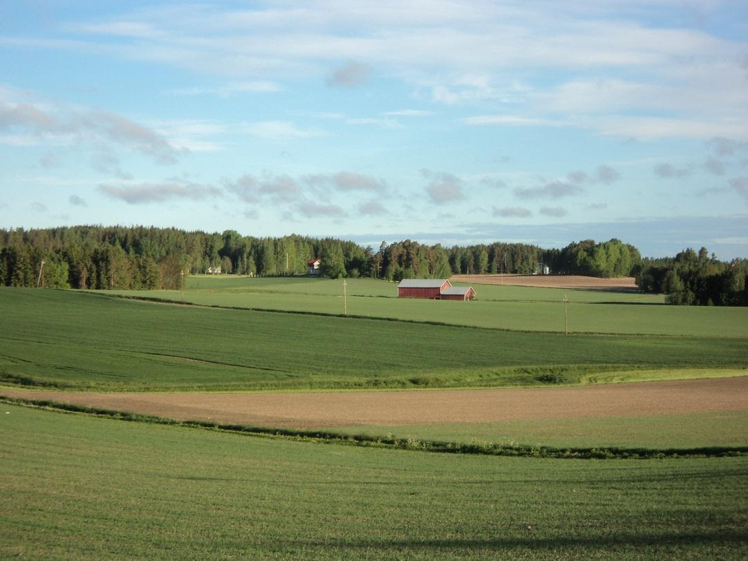 Seuraavat askeleet 28.10.