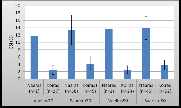 Kuvio 12. GSI keskiarvot ja -hajonnat. Suluissa sukukypsien kappalemäärät.