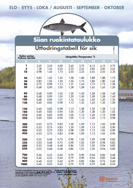 Liite 1 Kokeen pohjana