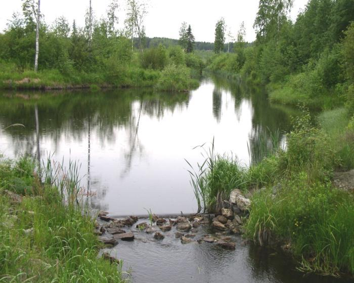 Leinonen Pentti Olli Kuva: Suomen Antti Leinonen metsäkeskus