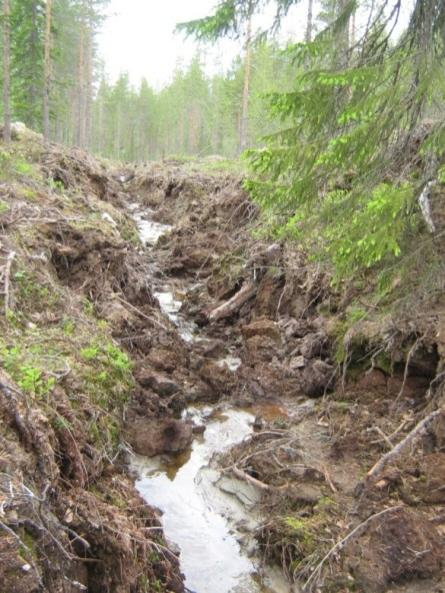 kiintoainekuormitus palaa ennen ojitusta vallinneeseen tilanteeseen n.