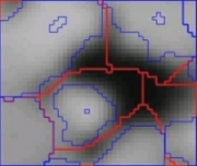 htm o TerraMap o TerraModeler Vasemmalla: Forest canopy model LFG Mecklenburg-Vorpommern, Germany, Oikealla: Tree centers and crown area Natscan Project, University of Freiburg, Germany http://www.