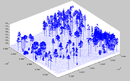 Reconstruction of forest.