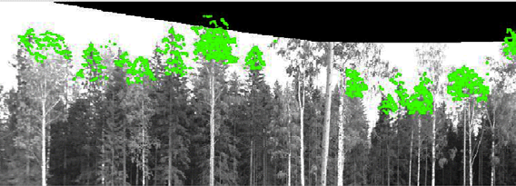 (Ulla Pyysalo, 2001) Validation of airborne laser scanner data collected from the tree canopies.