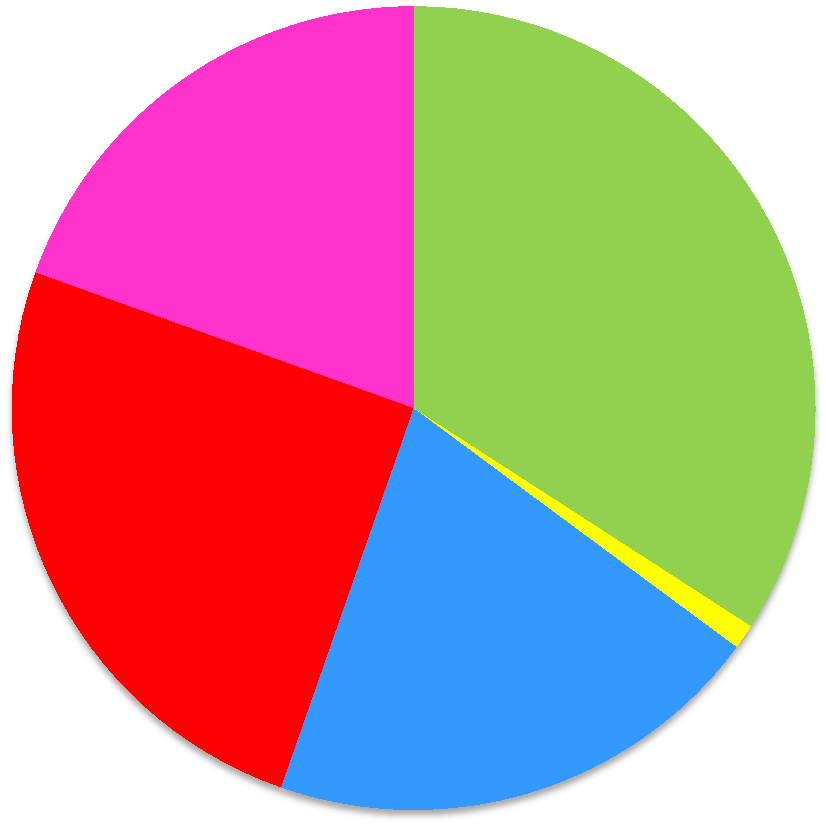 2. HOITO- JA PALVELUSUUNNITELMA / OMAHOITAJUUS 2.1 Oletteko osallistunut hoito- ja palvelusuunnitelman tekoon? Jos ette, niin miksi?