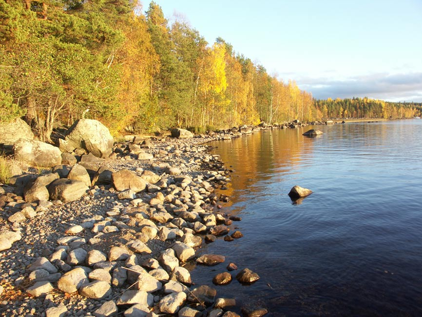 10 2.1.1 Luonnonympäristö Suunnittelualue sijaitsee eteläboreaalisella vyöhykkeellä Järvi-Suomen lohkossa. Aluetta rajaa idässä Leppävesi ja lounaisosassa Päijänne. Muita vesistöjä on vähän.