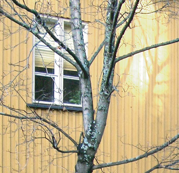LOUKKUKUJA 139 128 PAULAREITTI 143 KAHAKUJA 141 144 KAHAMUTKA KAHATIE 140 142 RITAHARJUNTIE 135 LOUKKUTIE 130 KLIPPATIE 136 134 KLIPPAKUJA 133 SADINKUJA 131 LOUKKUREITTI 137 132 129 RITAKIERROS 138