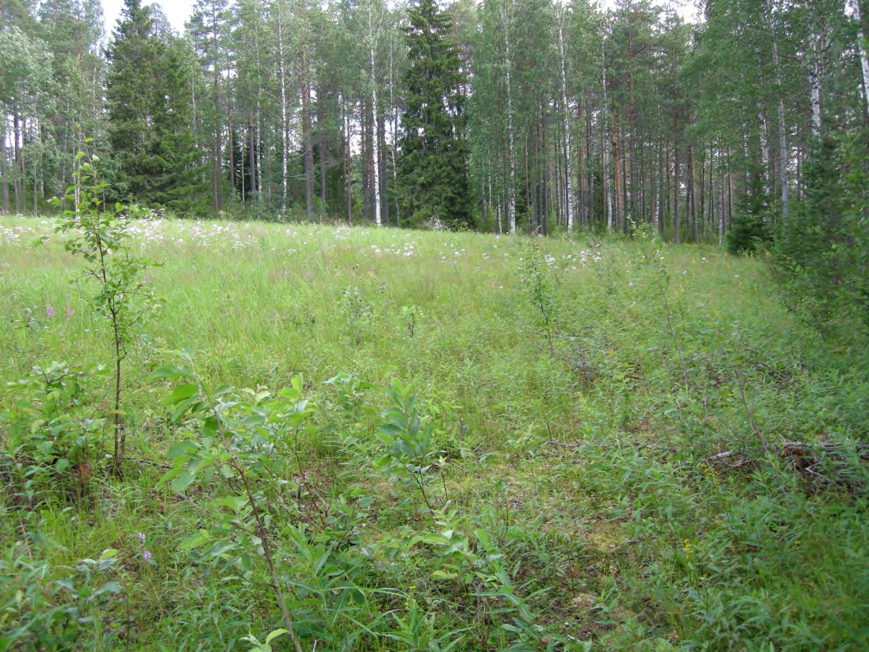 vasemmalla Yli-Portimojärvi,