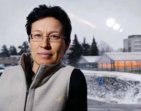 BIOTIETEELLINEN TIEDEKUNTA 11 Ilmastonmuutoksen vaikutus kasveihin Kasviekologi Sirkku Manninen on toiminut ympäristöbiologian yliopistonlehtorina vuodesta 2001.