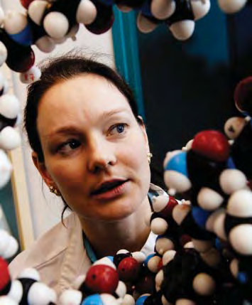 16 BIO JA YMPÄRISTÖTIETEIDEN LAITOS Yleinen mikrobiologia Yleinen mikrobiologia jakaantuu lääketieteelliseen mikrobiologiaan, virologiaan ja mikrobiekologiaan.