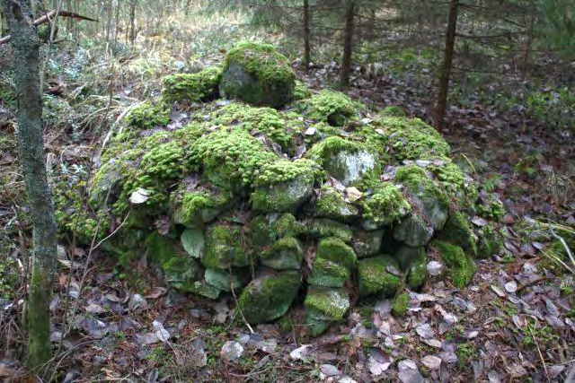 Täysin sammaloitunut röykkiö mäen itäreunalla. Taustalla mökkitie ja Aholahti.