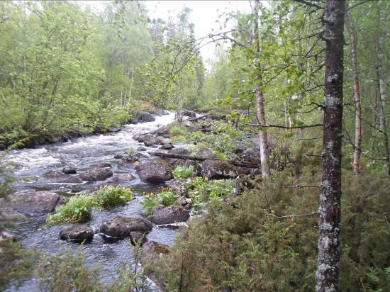 11 Myllykoskella Hakojoki on puhkaissut Myllyvaaran muodostuman ja muodostanut kauniin koskijakson. (ks. kuvat 12ab alla).