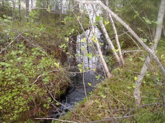 4 Maisema ja näkymät Ylä-Tervajärvellä maisemakuva on rosoinen.