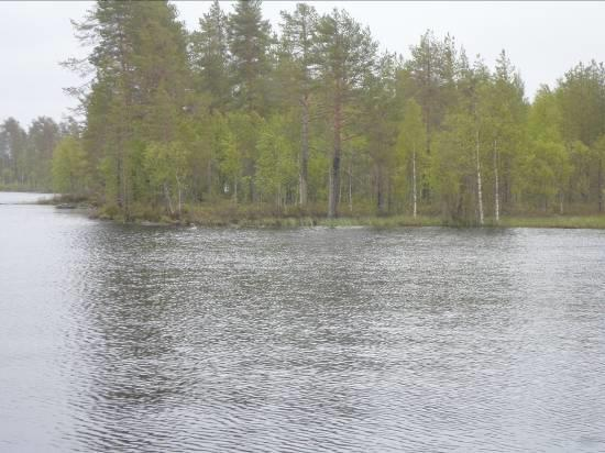 Tervaniemeä lukuun ottamatta. (ks. kuva 22a). Hakoniemen tila erottuu kauniina kokonaisuutena. Laajat hakkuut vilahtavat paikka paikoin näkyviin.