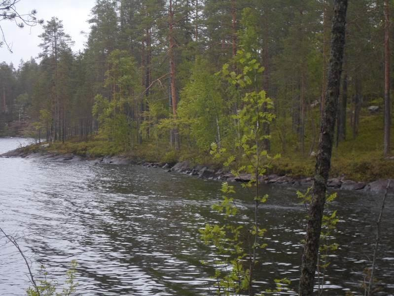 4 Vesikasvien, heinien ja sarojen kohdalla saattaa esiintyä puutteita. Maastossa ei systemaattisesti havainnoitu nilviäis-, hyönteis-, sieni tai jäkälälajistoa.