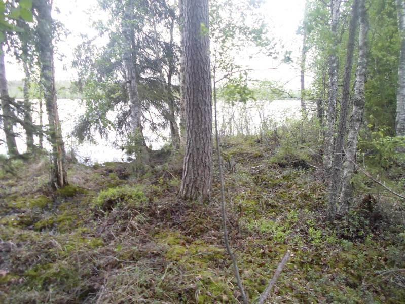 6 on laajahko lähes itä-länsi suuntainen drumliini. Tervaniemen länsipuolella on muutama matalalahko ablaatiomoreeni tai pohjamoreenin paksunnos.