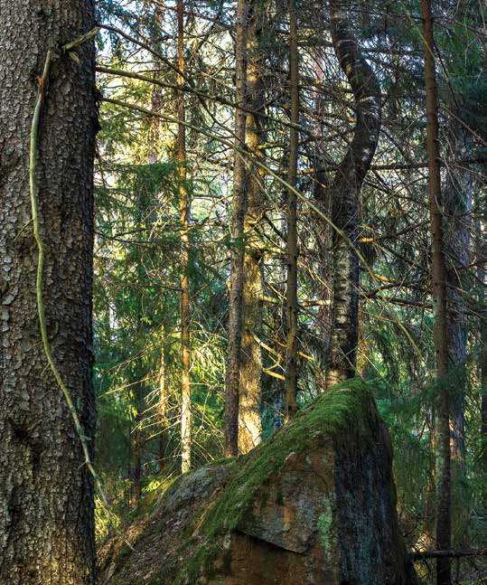 Aiheet kietoutuvat tapahtumassa eettisiin kysymyksiin sekä eri lajien selviytymiseen olosuhteiltaan muuttuvalla planeetallamme ennen, nyt ja tulevaisuudessa.