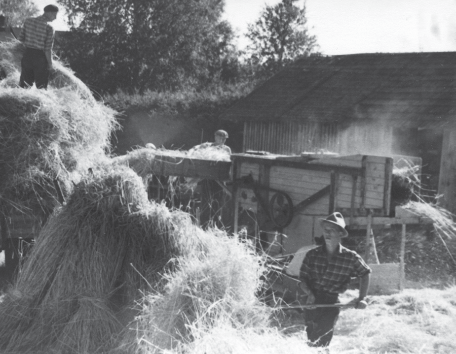 salla häärättiin. Moottoristakin täyty hualehtia ja konneen remmiä ja seuloja tarkistaa. Kaikilla oli tyätä koko päiväksi, kun kahlen talon viljat puitiin.