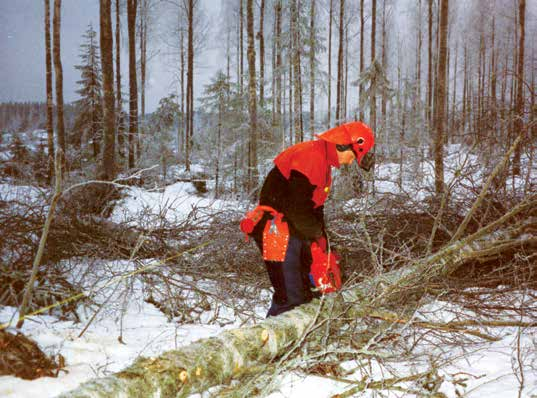 le Koskela ja Sirpa Tani (toim.), Tila, paikka ja maisema. Tutkimusretkiä uuteen maantieteeseen. Tampere: Vastapaino. S. 193 210. Reitala, Aimo 1987: Metsä suomalaisessa kuvataiteessa.