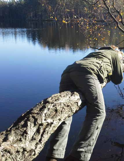 eläväksi. Käytännössä henkilökohtainen metsäsuhde rakentuu useiden eri merkitysten, arvojen ja kokemusten summana.
