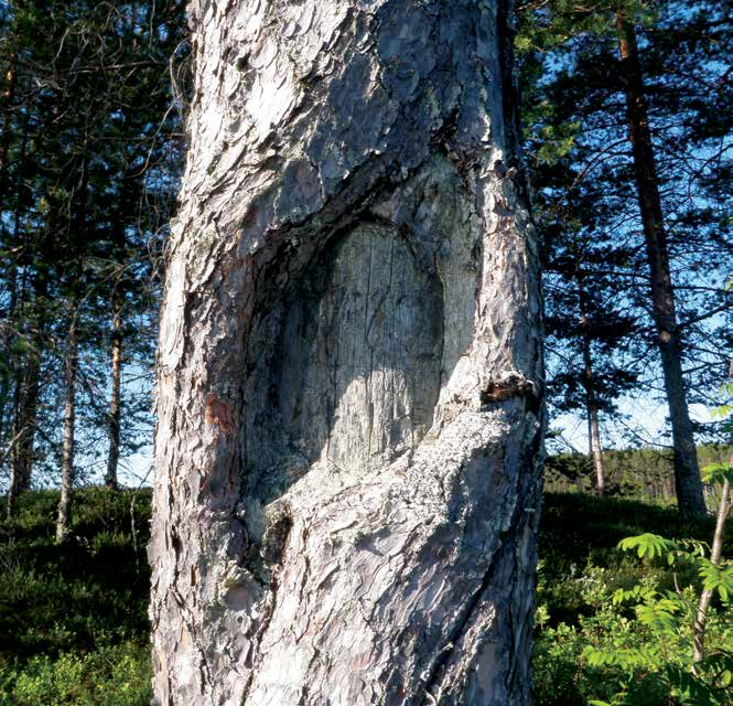 Karsikot ovat rituaalisuuden jälkiä maisemassa, kuolleiden ja elävien rajoilla, reittien varsilla, muistiin merkittyjen tapahtumien läheisyydessä.