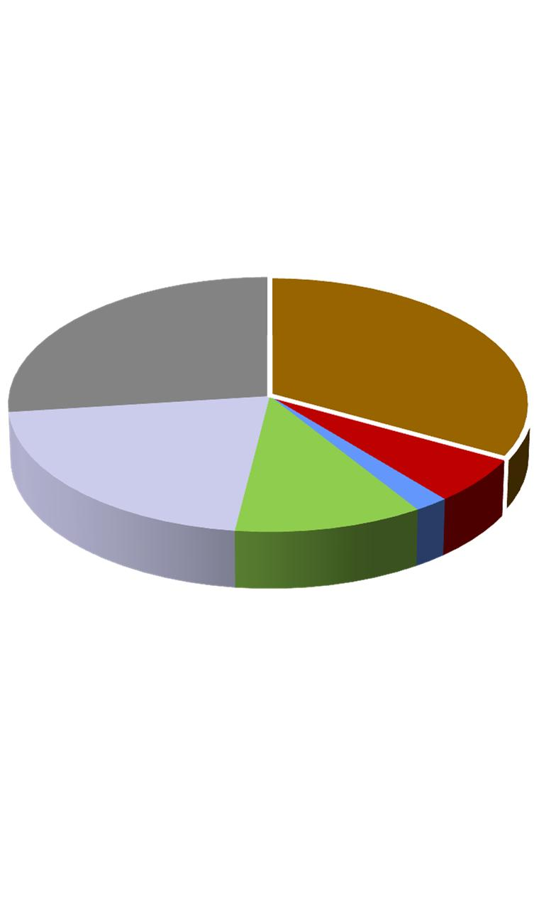 17 Maailman energian tuotanto ja kulutus 2009 Hiili 27 % Energian tuotanto yhteensä 12150 Mtoe Öljy 33 % Raakaöljyn kulutus yhteensä 3460 Mtoe Henkilöautot 28 % Raakaaineena 17 % Kaasu 21