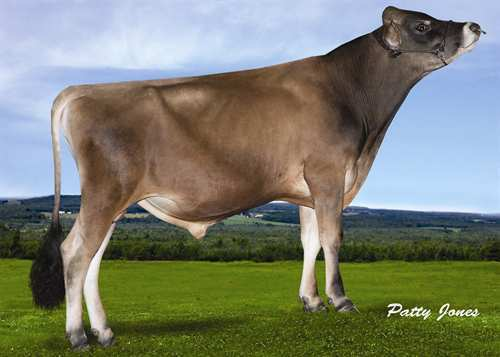 AHLEM NAUTILUS 0200JE00535 MANTRA x ALLSTAR GPA LPI +1788 PRO$ 1301 JH1F Rek #: JEUSAM72520596 aaa: 435612 DMS: 456 TUOTOS G Karjoja G Tyttäriä 54% arv.varm GPA 15*AUG 1018 72 +0.30 43 +0.