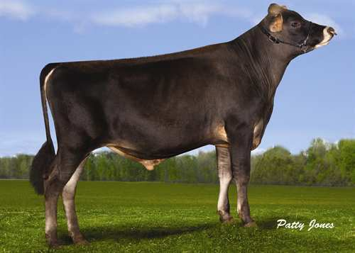 GUIMO JOEL 0200JE00384 LEGAL x PARAMOUNT GPA LPI +1961 PRO$ 1630 JH1F Rek #: JECANM106797223 aaa: 645231 DMS: 246,126 TUOTOS G Karjoja G Tyttäriä 63% arv.varm GPA 15*AUG 1050 47-0.05 46 +0.