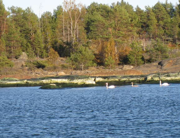 6.1.14 Ihmisiin kohdistuvat vaikutukset Ihmisiin kohdistuvien vaikutusten osalta tuulivoimapuiston hankevaihtoehdot eroavat siten, että maksimivaihtoehdossa VE 3 ja uuden suunnitelman vaihtoehdossa