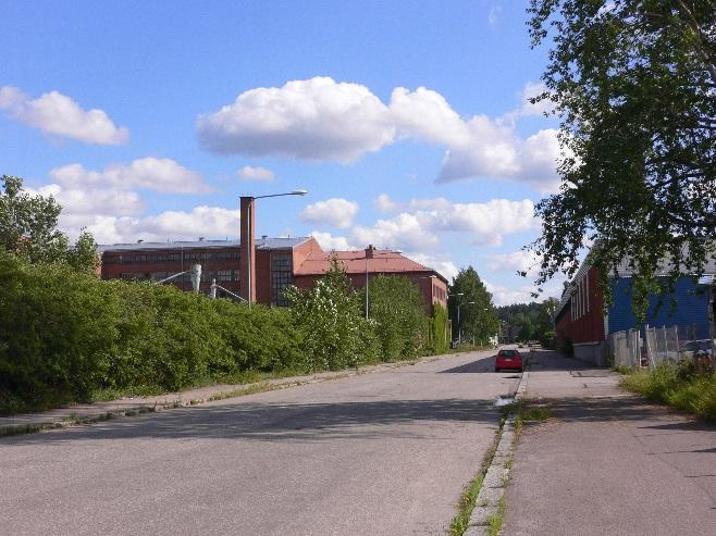 Erityisesti asemakaavaan merkityillä puurivivyöhykkeillä (tonttien lounaisrajat) kasvaa kookkaampia puita. Sopen kiinteistön julkisivulla on näyttävää köynnöskasvillisuutta.