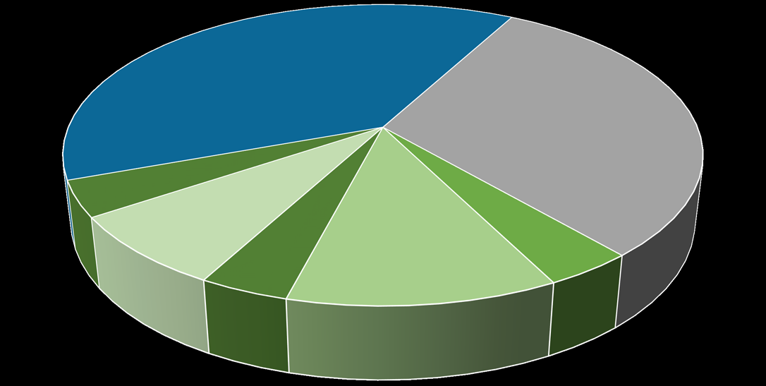 Onnettomuustyypit Karilleajo 38 % Pohjakosketus 31 % Törmäys kanavapenkkaan 4 % Törmäys