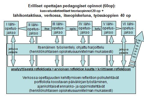 Opiskelijalla on mahdollisuus henkilökohtaiseen ja/tai ryhmätutorohjaukseen erikseen ilmoitettavana ajankohtana opintoajan kuluessa.