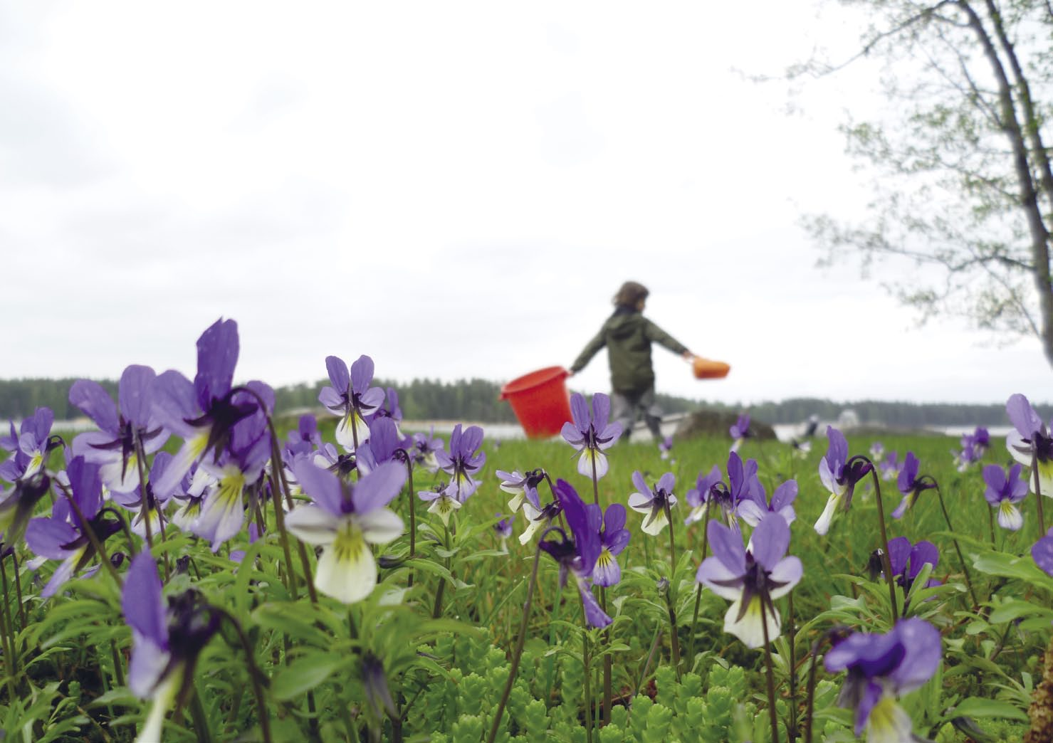 TULOKSET 6 Mikä on