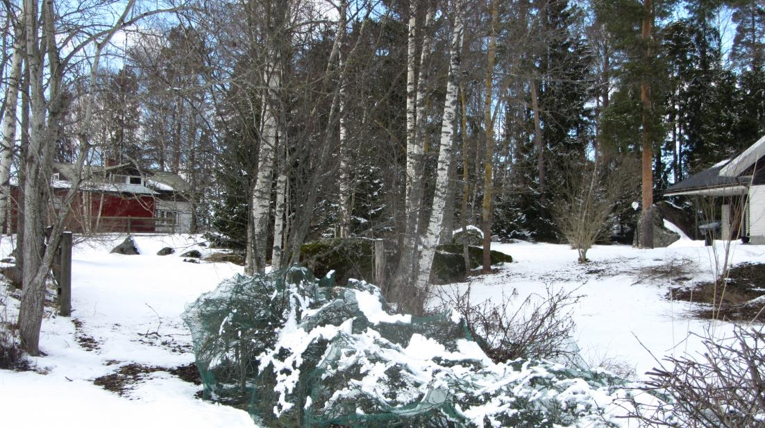 1 Alueen yleiskuvaus Asemakaava käsittää noin 0,45 hehtaarin alueen, joka