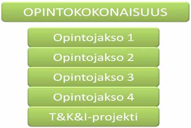 58 Toimintatavan vahvuutena on se, että näin ammattikorkeakoululla on mahdollisuus toteuttaa kaikkia kolmea sille annettua tehtävää eli opetusta, tutkimus-, kehitys- ja innovaatiotoimintaa sekä