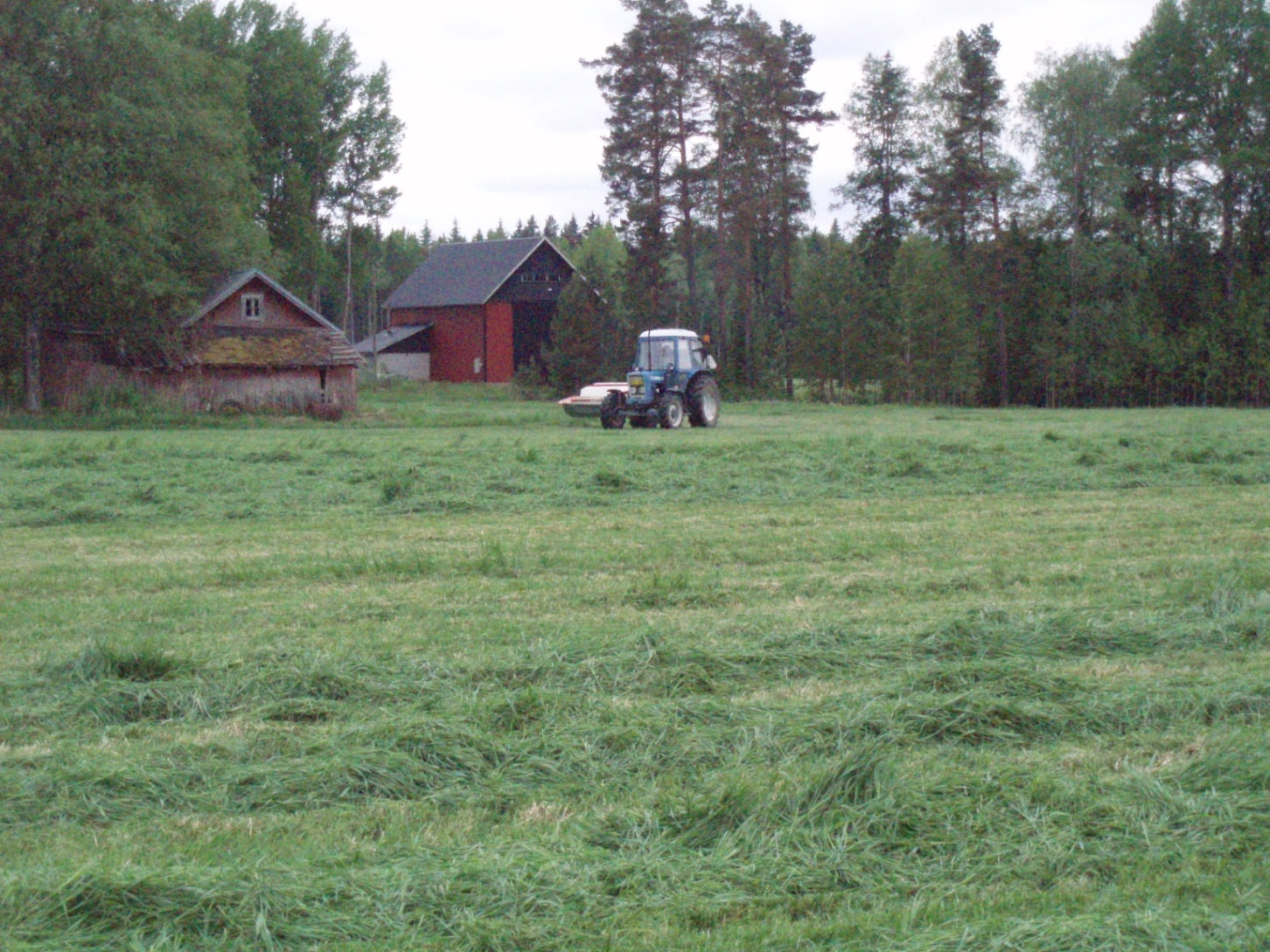 Artturi - nurminäytteiden otto ja käyttö