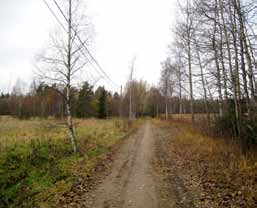 Luontaisesti maasto olisi alavimmilla paikoilla melko soista, mutta alueella on tehty metsäojituksia, joiden seurauksena maasto on kuivunut.
