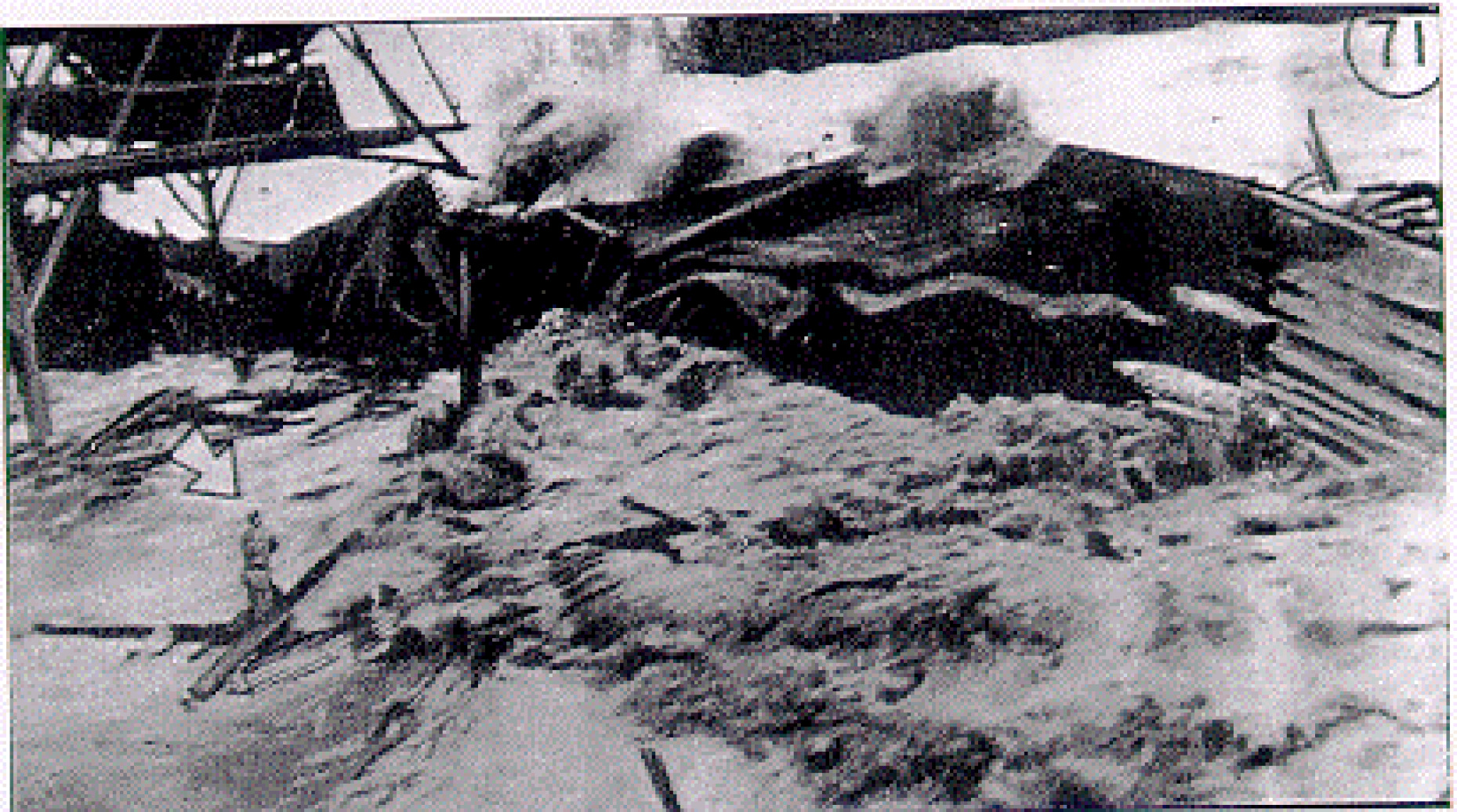 Tsunami, the underrated hazard (E Bryant, 2001) Valparaison 1960-05-22 järistyksen tsunamiaallon korkeudet rannikolla eri osissa Tyyntä Valtamerta [Wilson et al, 1962;