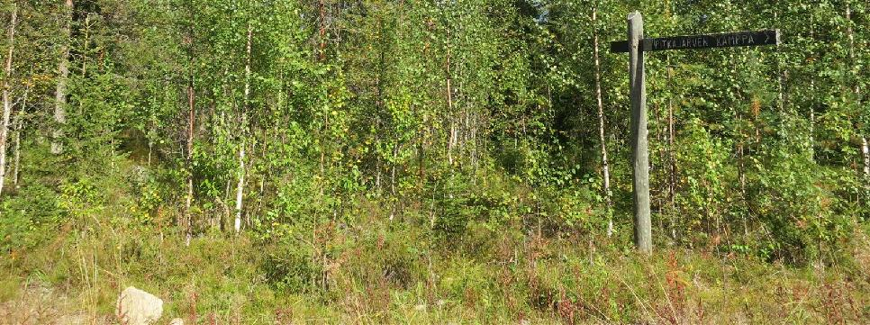 Näkymä Närhikköaavan seudulta suunnitellun voimajohtokäytävän