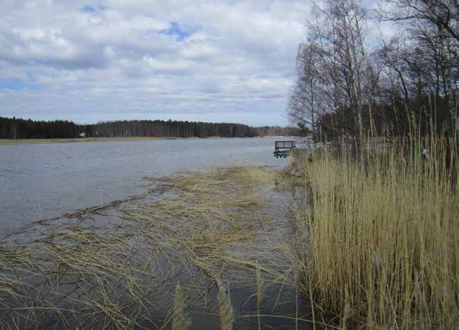 Suunnittelun tavoitteet ja kohdealueen valinta Mynälahden yleispiirteitä Mynälahti on pitkä ja matala merenlahti Varsinais- Suomessa.