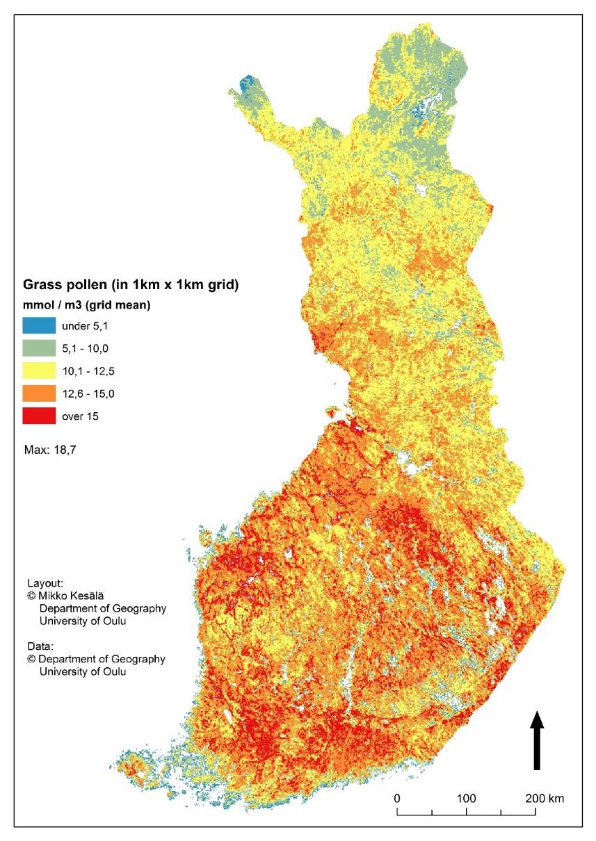 Heinän
