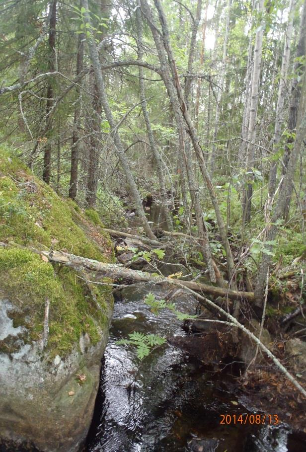 kunnostukseen osallistumalla (mm Lestijärven Lehtosenjoella