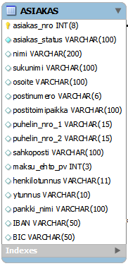 KUVA 4. Asiakas-taulun rakenne Tapaus-taulu Tapaus-taulu sisältää työtapauksien tiedot.