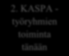 Nykytilan analyysi Tarkastelen KASPA -toiminnan nykytilannetta aineistotriangulaation näkökulmista.