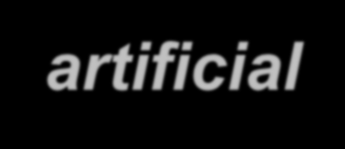 TIETEIDEN MAAILMAT Sciences of the natural world Causality Evolution Sciences of the artificial world: Behavioral science Understanding Nature: An orderly