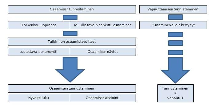 Liite 2/6 ossa on esitetty osaamisen ja vapauttamisen tunnistamisen ja tunnustamisen periaatteet Kuva 1.