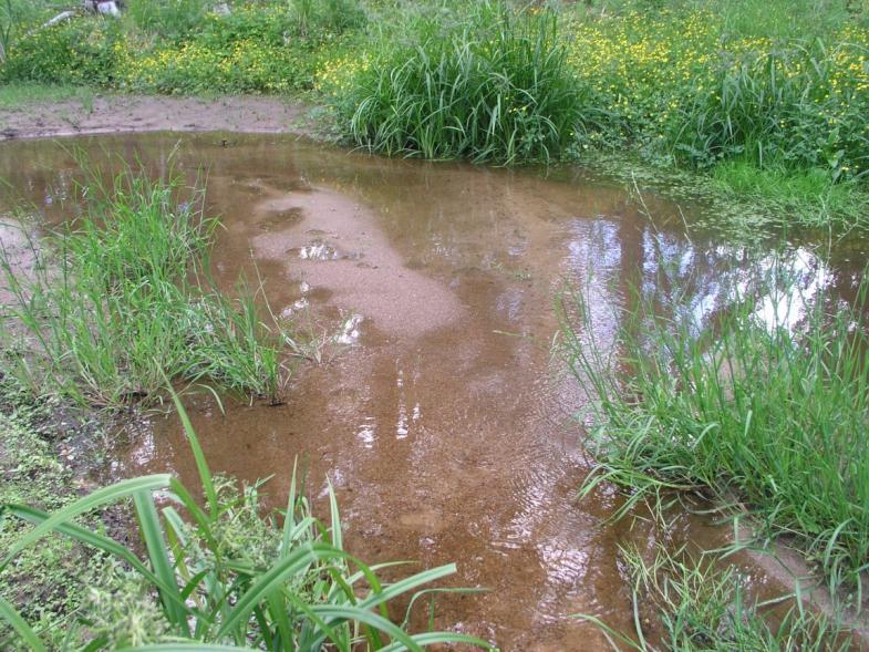 IMPONOJAN LASKEUTUSALTAAN KUNNOSTUKSEN