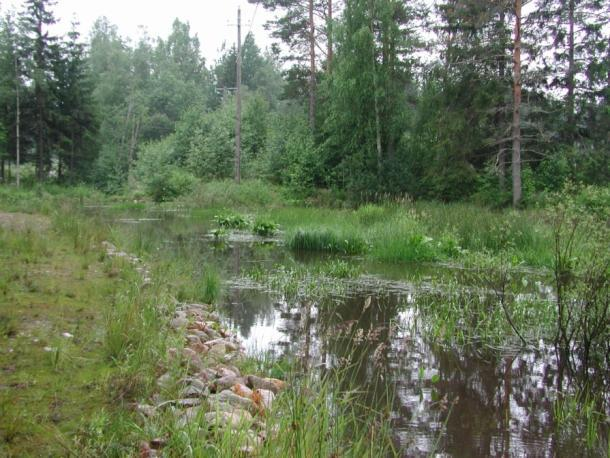 Kosteikot vesiensuojelussa Vesiensuojelukosteikkojen tavoitteena on valumavesien puhdistus ja vesistöjen rehevöitymisen vähentäminen. Pidättävät ravinteita ja kiintoainetta.