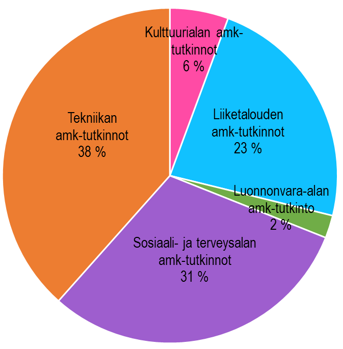 AMK-tutkintoon johtava koulutus Vuonna 2017